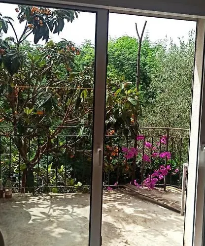 Au Coin Du Potager